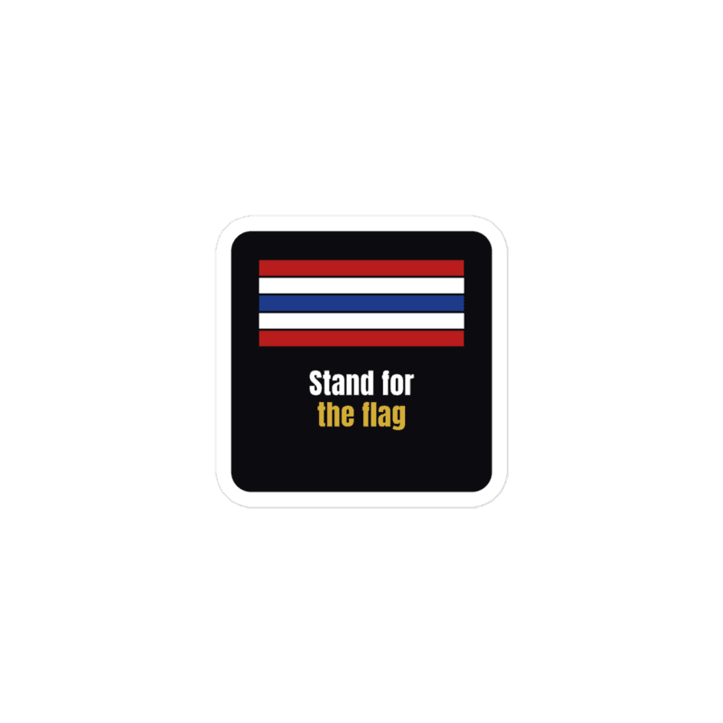 Stand for the flag view 2